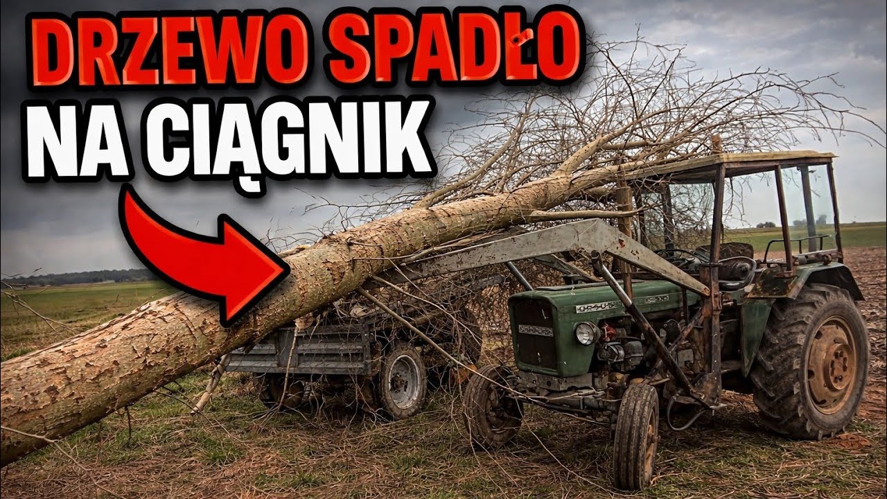 Spadło na ciągnik 😲 Porządki na rowie || Przywieźli naw&oacute;z