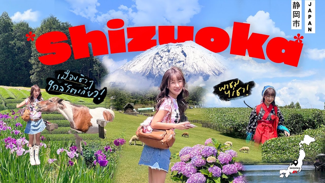พาเที่ยว SHIZUOKA🇯🇵 แวะไร่ชาดูฟูจิแบบใกล้ๆ รูทนี้สายธรรมชาติต้องตาม ชิลเว่อร์🍵🗻✨ (lto En)