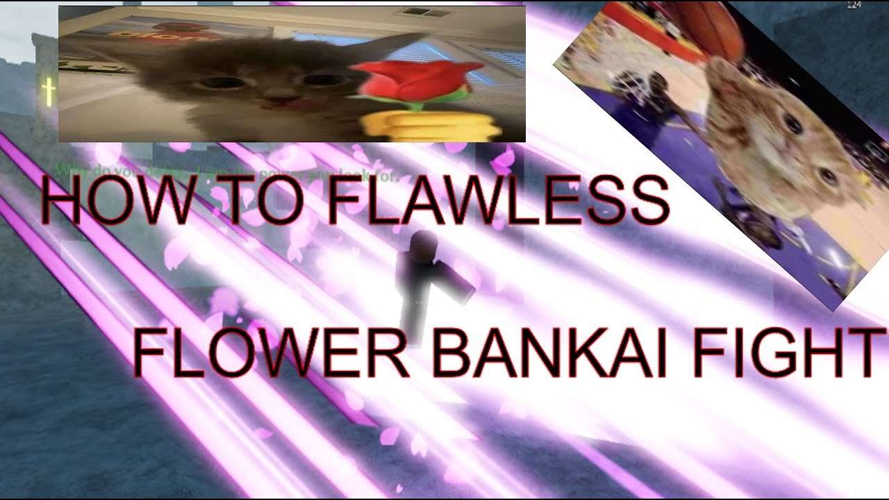 UPDATED FLOWER BANKAI FIGHT GUIDE [TYPE SOUL]