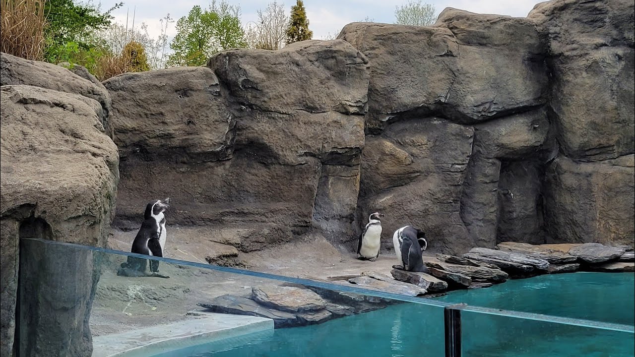 ZOO w Chorzowie. 2.05.2023.