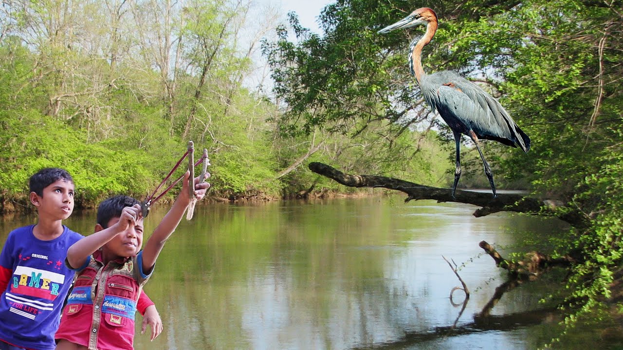 Slingshot Hunting । Hunting Big Birds with Slingshot