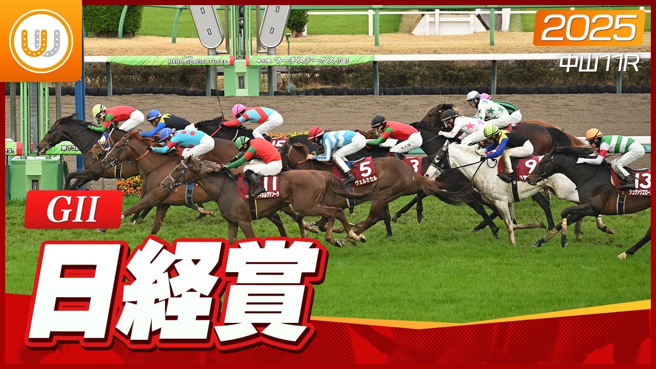 【レース映像】中山11R 日経賞（GII）｜マイネルエンペラー（丹内祐次）｜ウイニング競馬