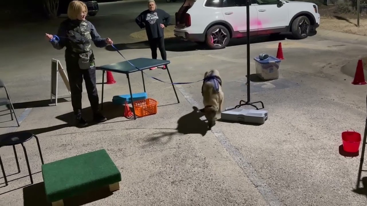 Sniff class part 3