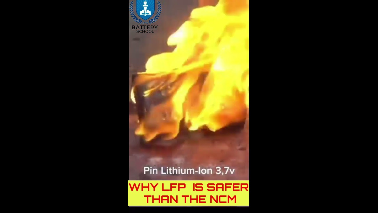 Why LFP Battery is Better Than NCM ⚡ | Truth You Must Know 😱 | EV Battery Comparison