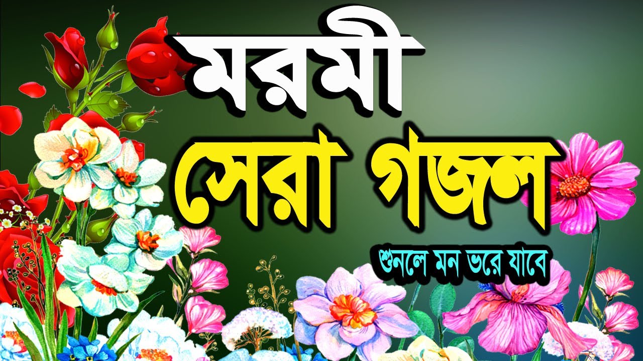 চলে যাবো পৃথিবী ছেড়ে | Chole Jabo Prithibi Chere | Abdur Rajjak | Bangla Islamic Gojol