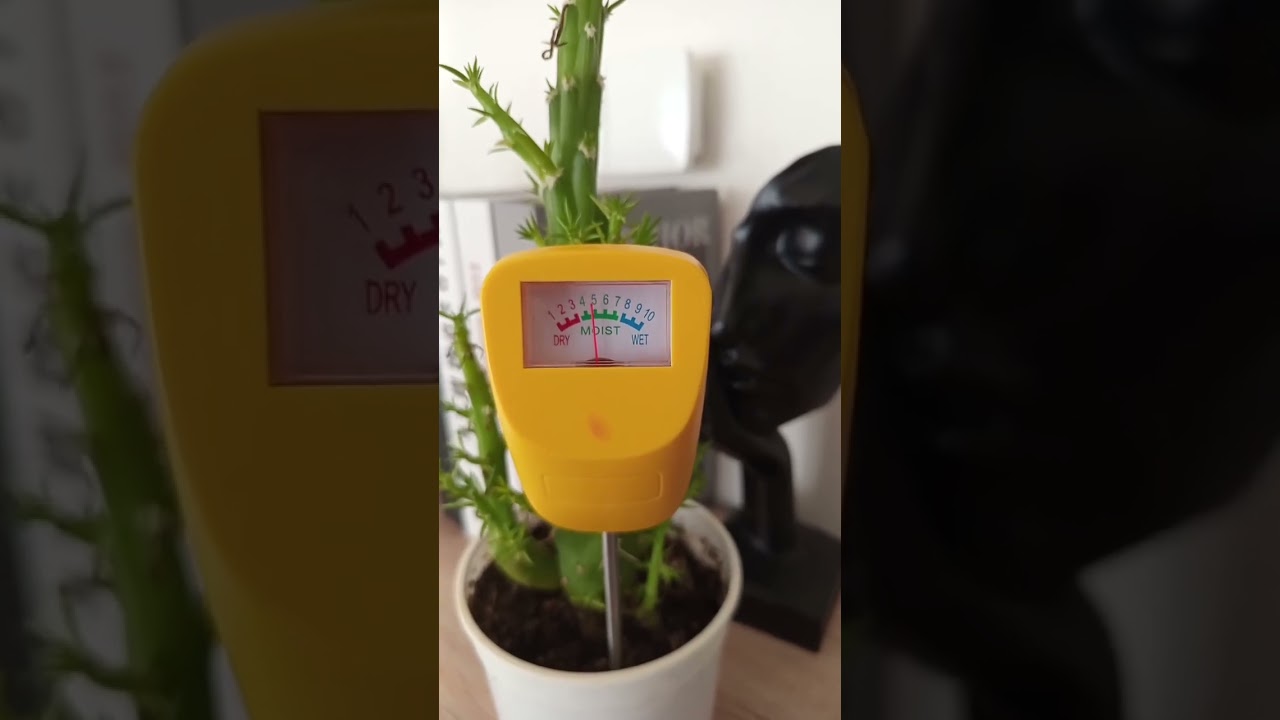Testeur pour plantes 