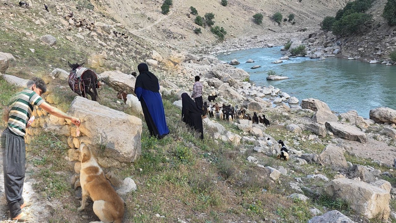 Nomadic life in Iran 🇮🇷: Moving from warm villages to cold mountains in nomadic style 🏕️
