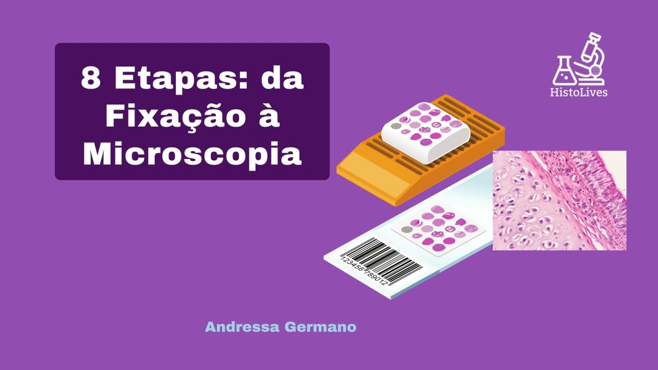 8 etapas: da fixação à microscopia