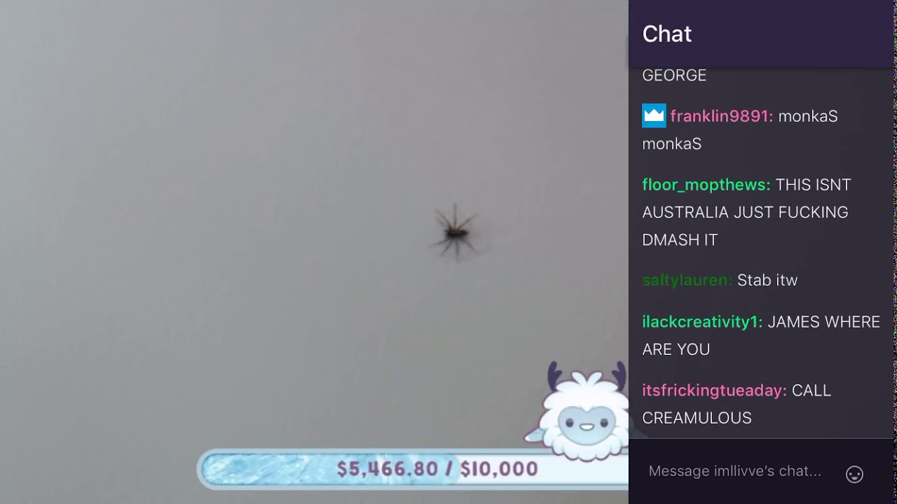 ImAllexx vs Spider