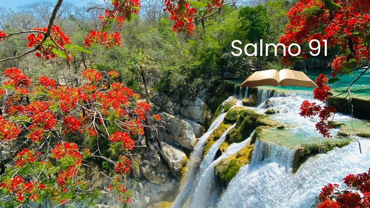 🔵 ORE O SALMO 91 SETE VEZES E QUEBRE TODA OBRA DAS TREVAS HOJE!