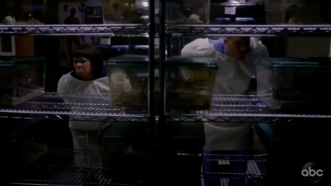 Grey's Anatomy Season 17 Jackson Flashback