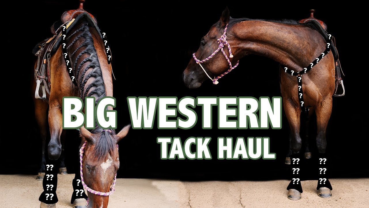 BIG WESTERN TACK HAUL| Hot Headstalls