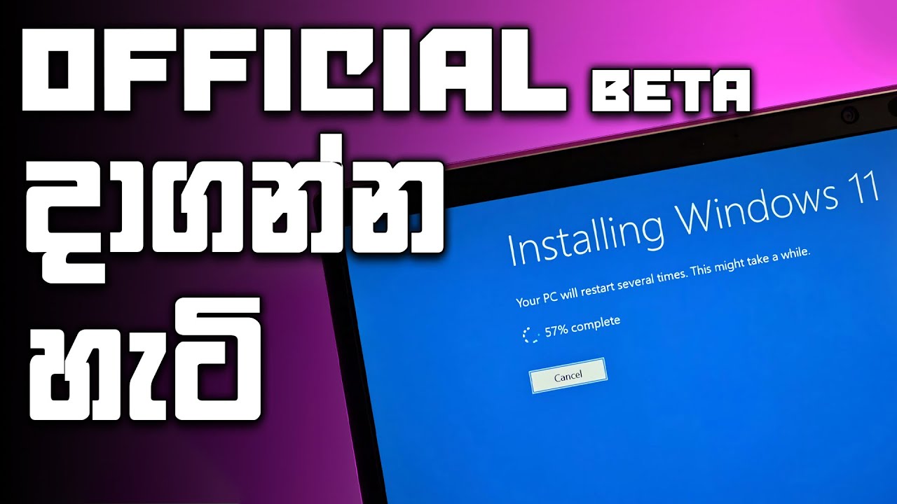 How to install Windows 11 Developer Preview | Why Shouldn't | Sinhala