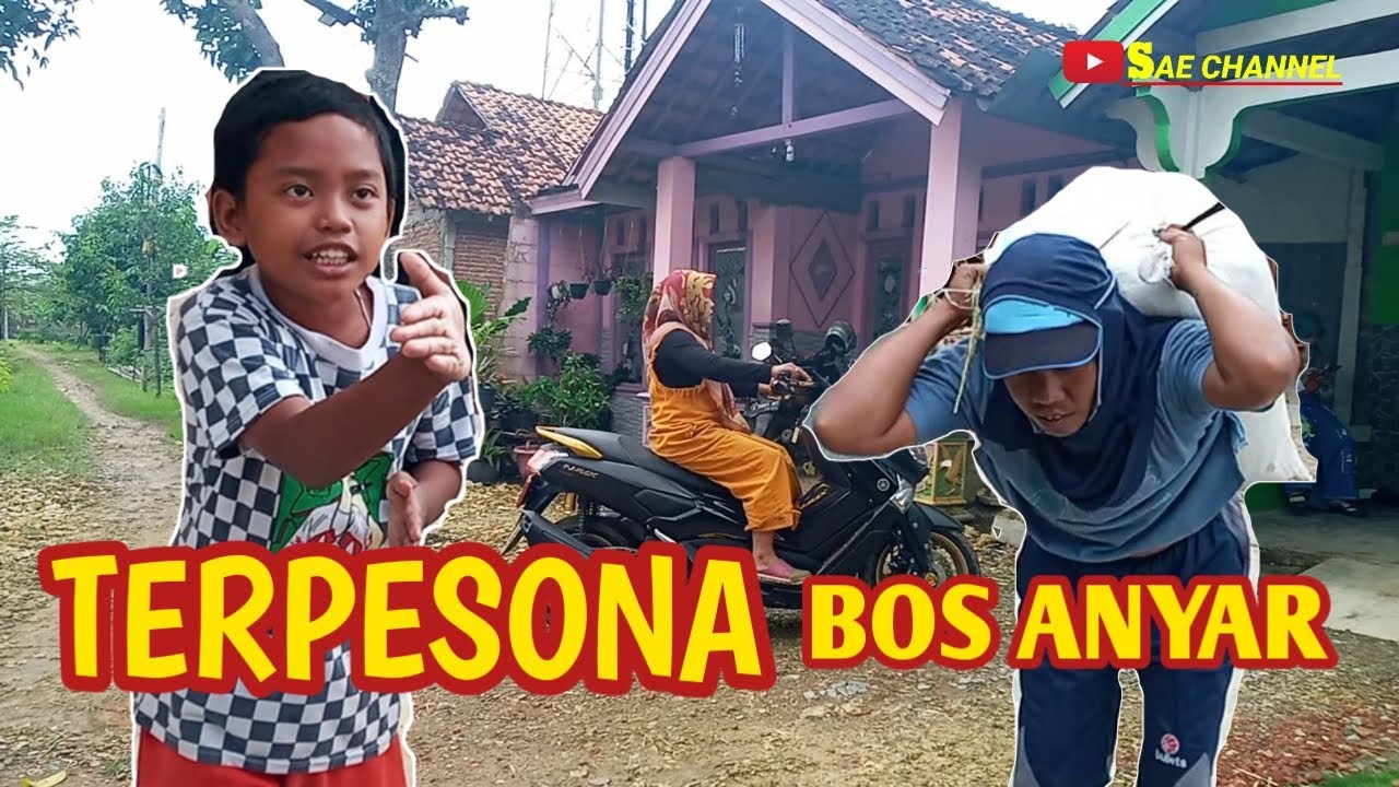 TERPESONA Bos Anyar ll Film Pendek Jawa ll Sae Channel