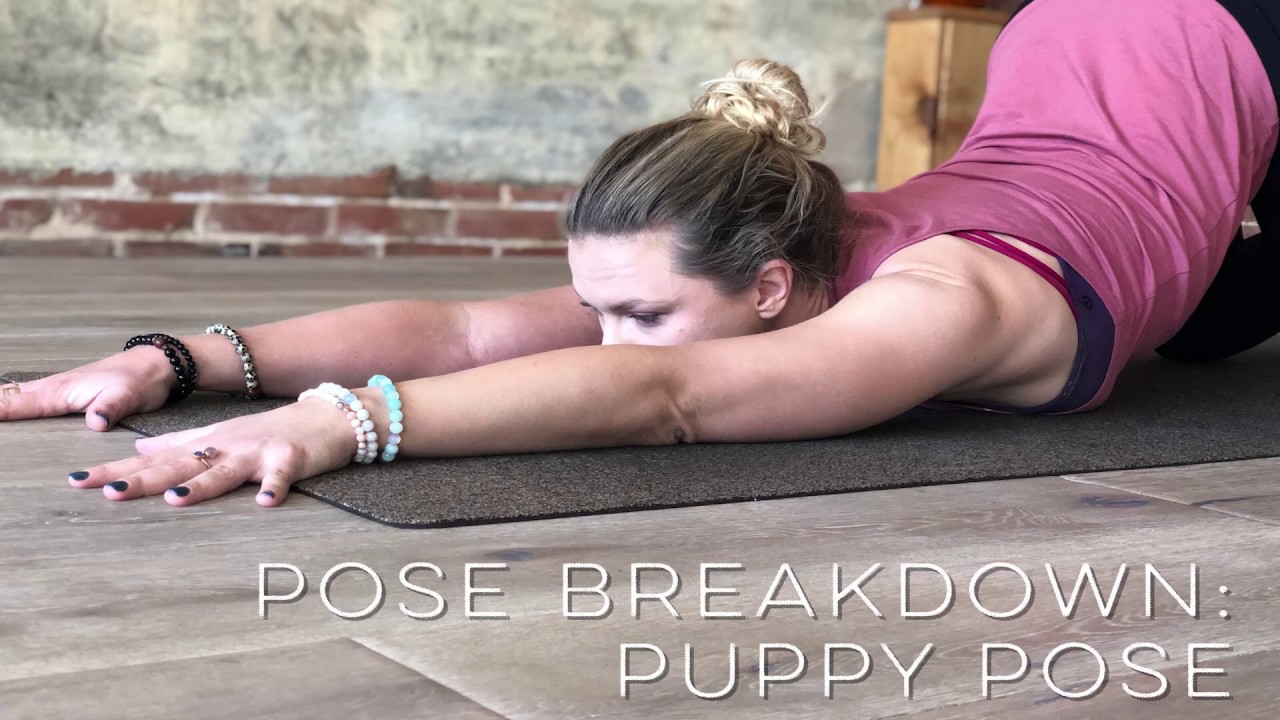 Pose Breakdown: Puppy Pose