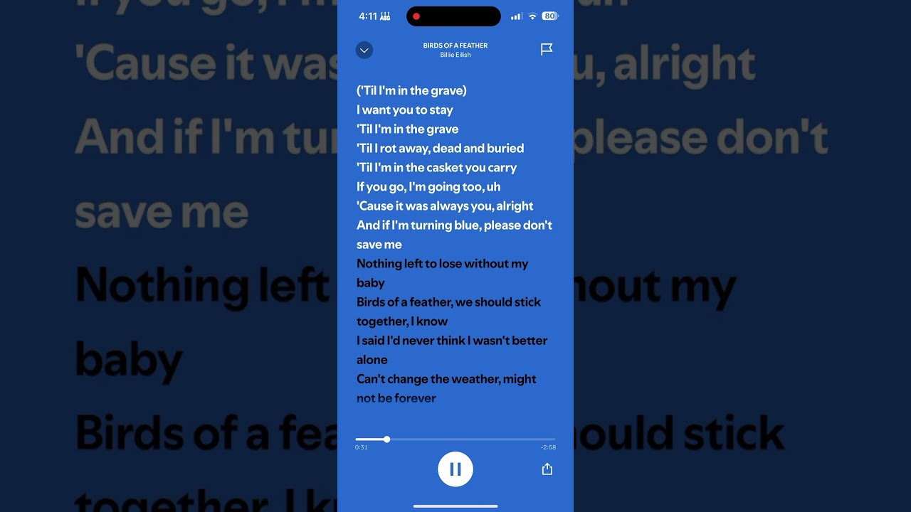 Billie Eilish - BIRDS OF A FEATHER             #lyrics #pop #music #billieeilish #birdsofafeather
