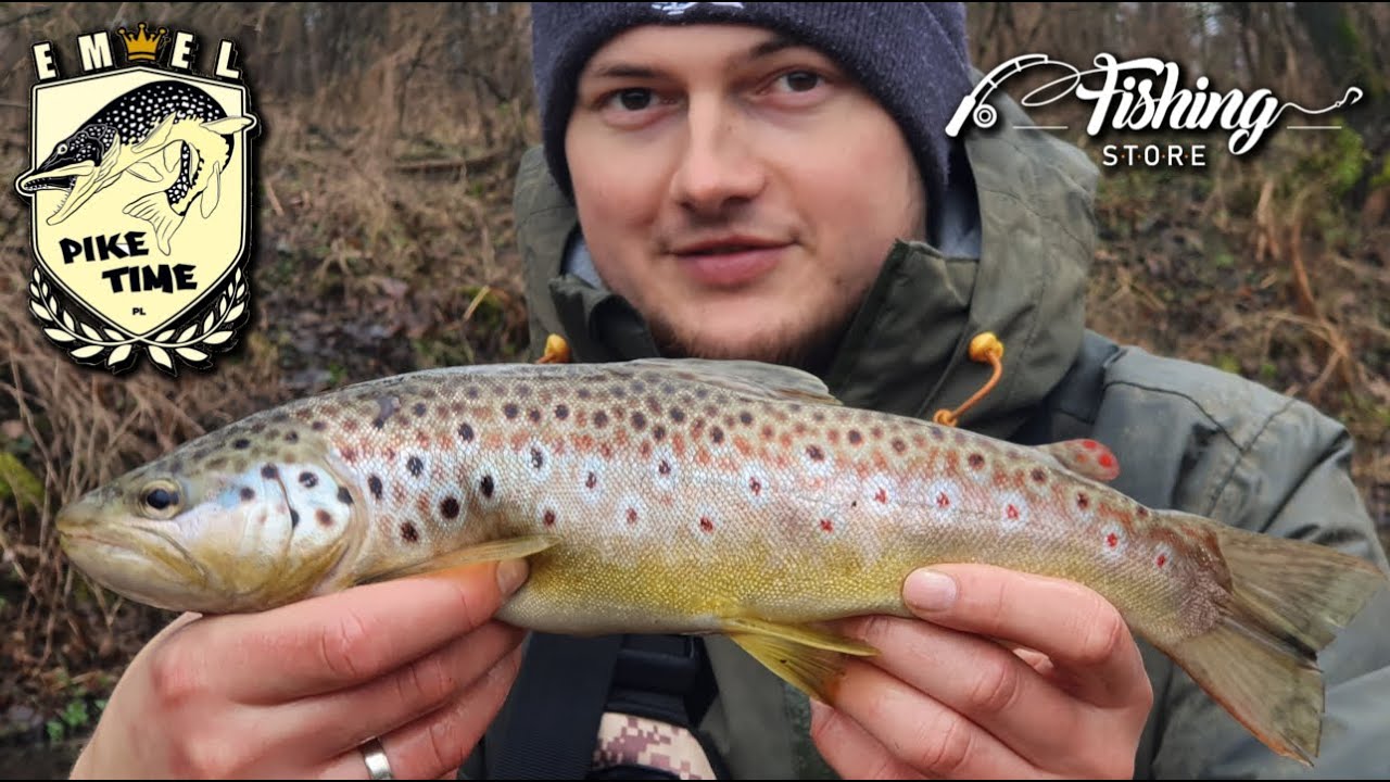 Pstrągi z małej rzeki SHIMANO BEASTMASTER