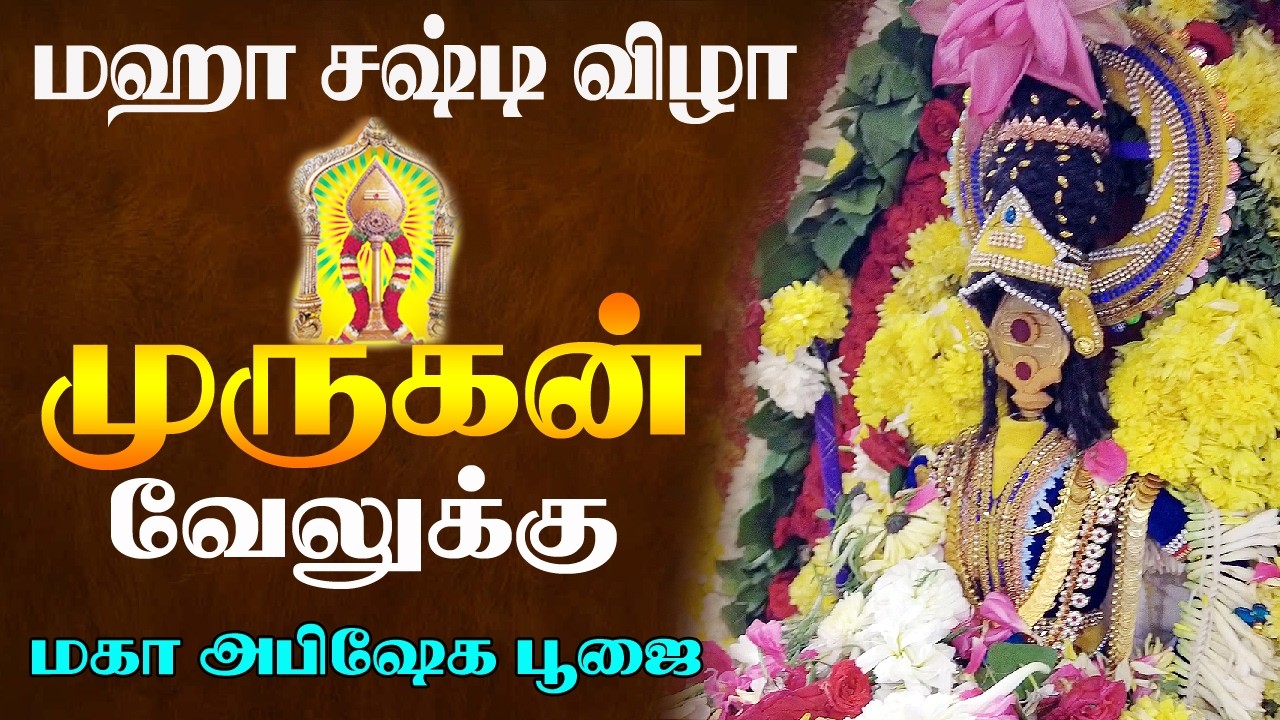 வேல் பூஜை -வேலூர் மாவட்ட திருவாசக முற்றோதல் குழுமம் அறக்கட்டளைமகா சஷ்டி விழா