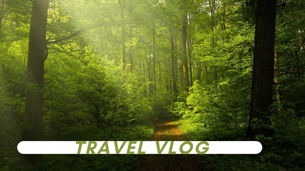 Into The Nature 🏕️ My New Vlog||Please Subscribe My Channel #Manojkumarvlogs