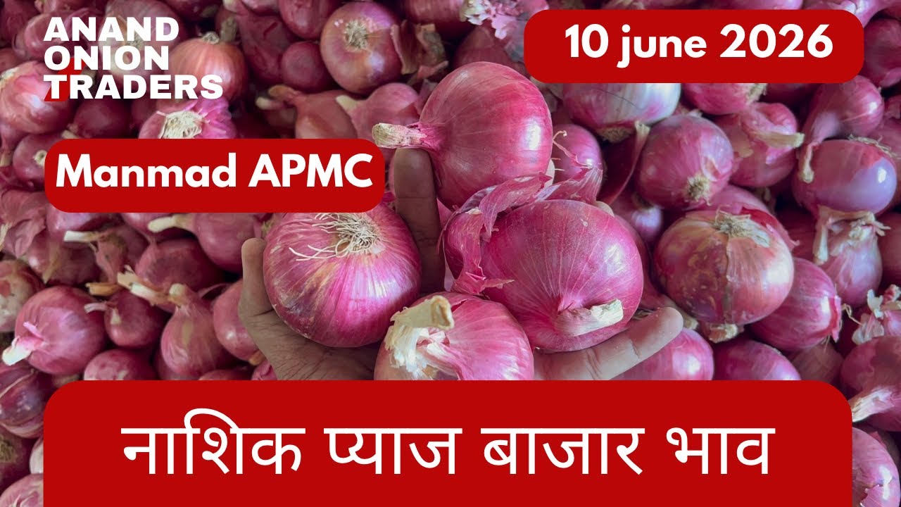 Nashik New Onion Rate Today 🔥 | आज का प्याज भाव 2026 | Mandi Live Update 10 June 2026