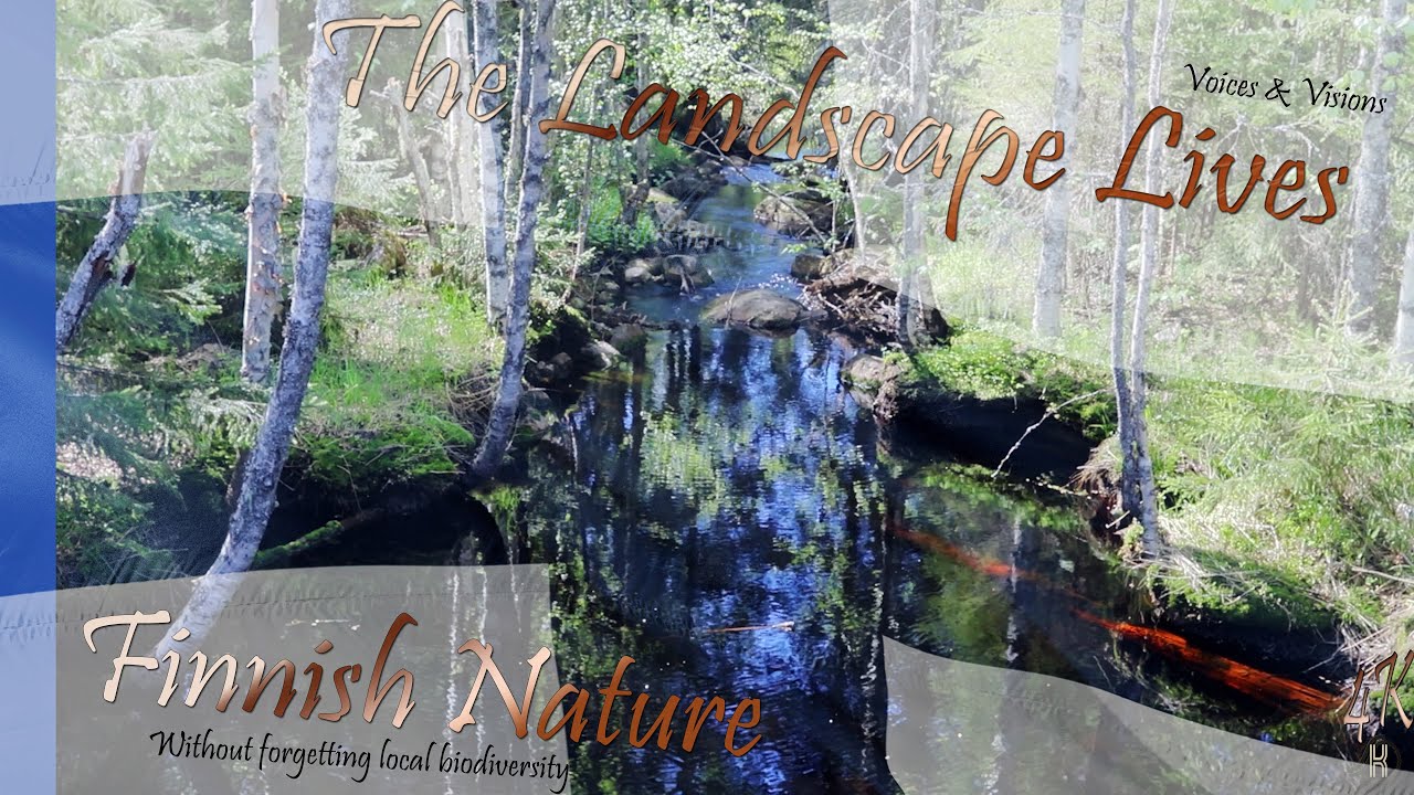 Voices and visions. Spring & Summer in Eastern Finland 2022