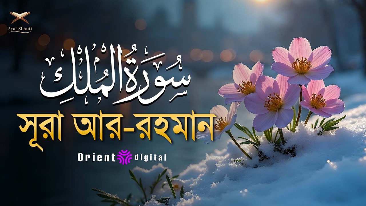 সূরা মুলক এর স্বর্গীয় তিলাওয়াতে আত্মাকে প্রশান্ত করুন ┇ Surah Al Mulk Recited by Omar Essam