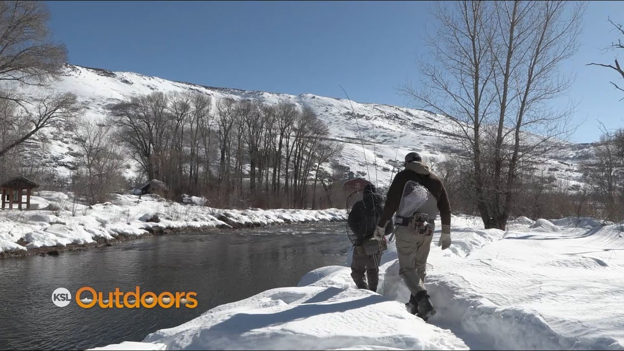 Fish Tech Tip: Fishing the Blue Wing Olive (BWO) Hatch