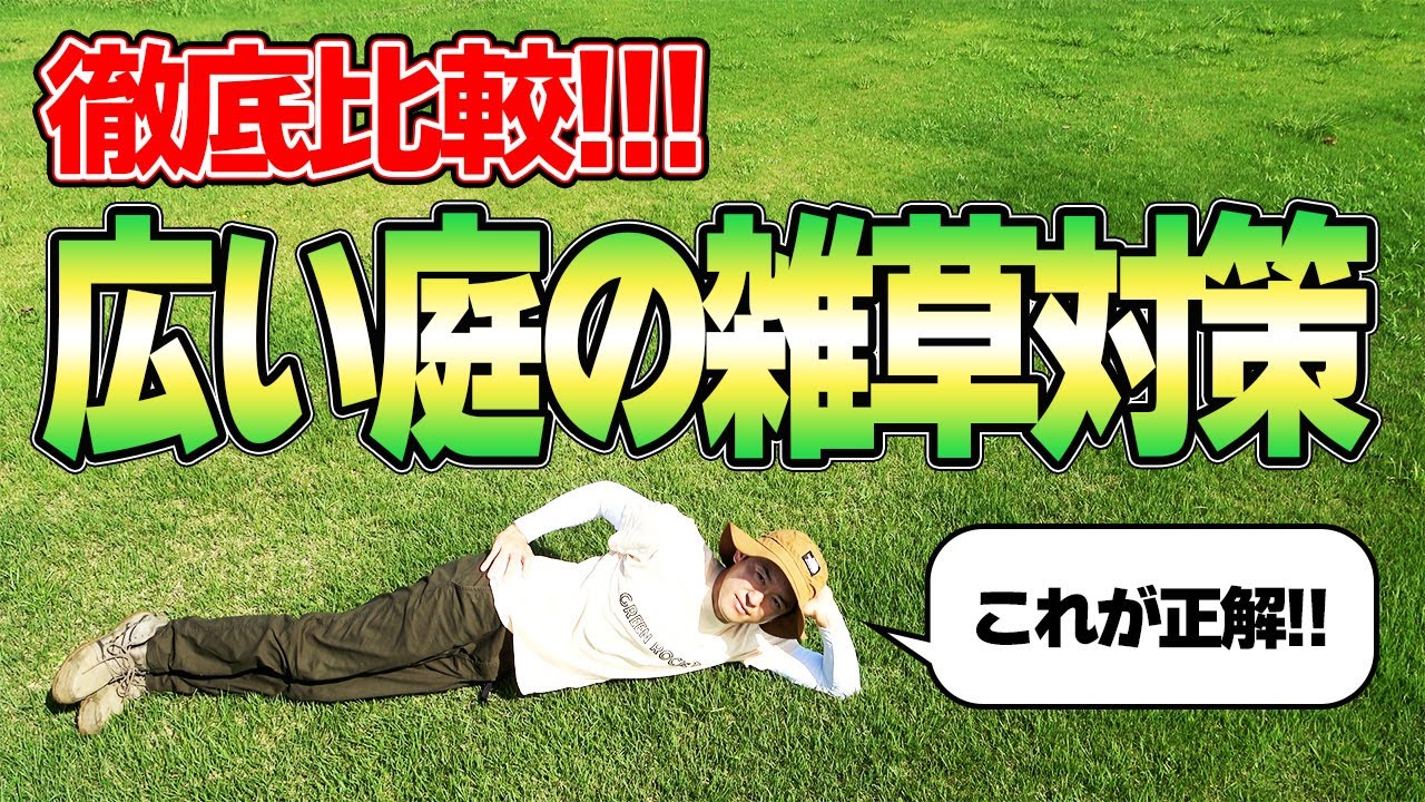 【1㎡30円】広い庭の雑草で困ったら芝、人工芝、コンクリ、グランドカバー、どれが正解か比較してみた！
