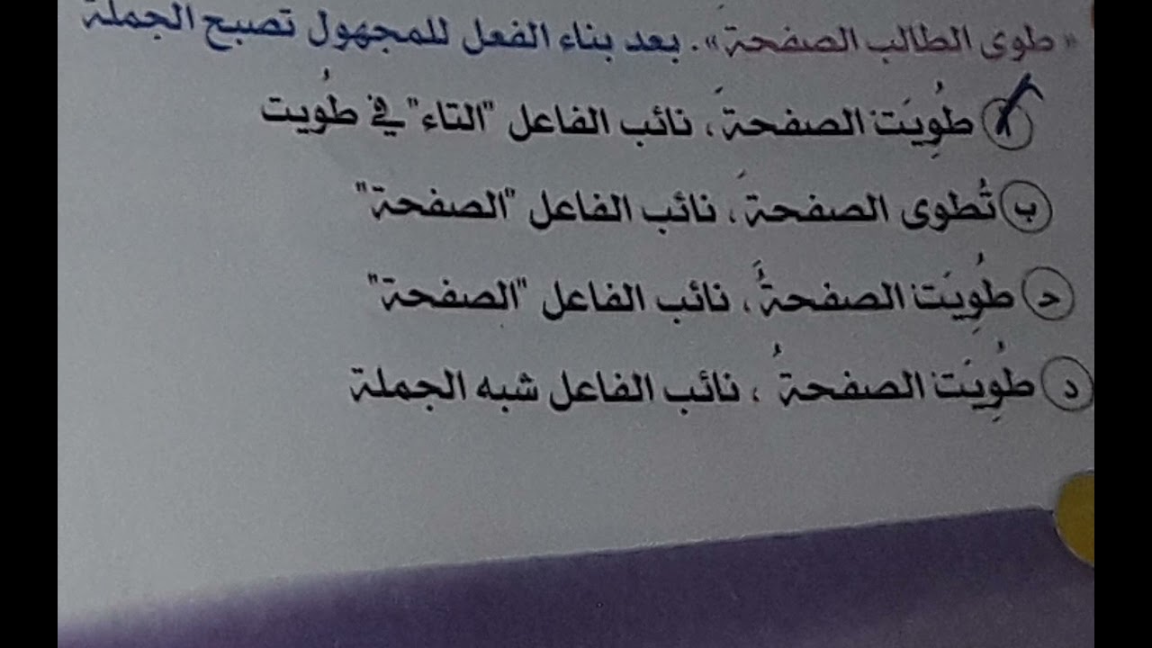 حل تدريبات إسناد الأفعال للضمائر وتأنيث الفعل مع الفاعل من كتاب الإبداع ٢٠٢٢م/ ٣ث ثانوي جمال الحصري