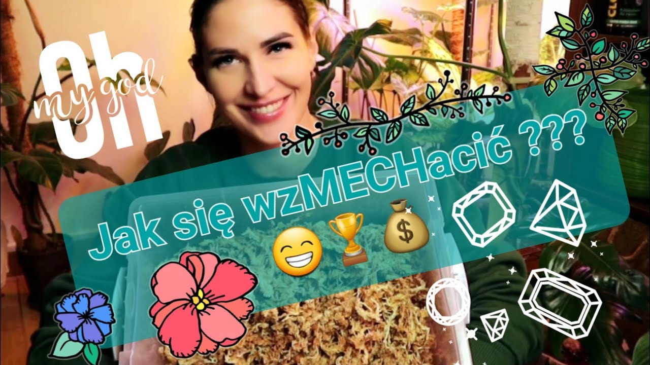 Jak przygotować mech SPHAGNUM ? #sphagnummoss