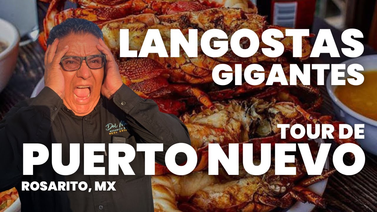 Qué hacer en Puerto Nuevo (comida, arte y playa)