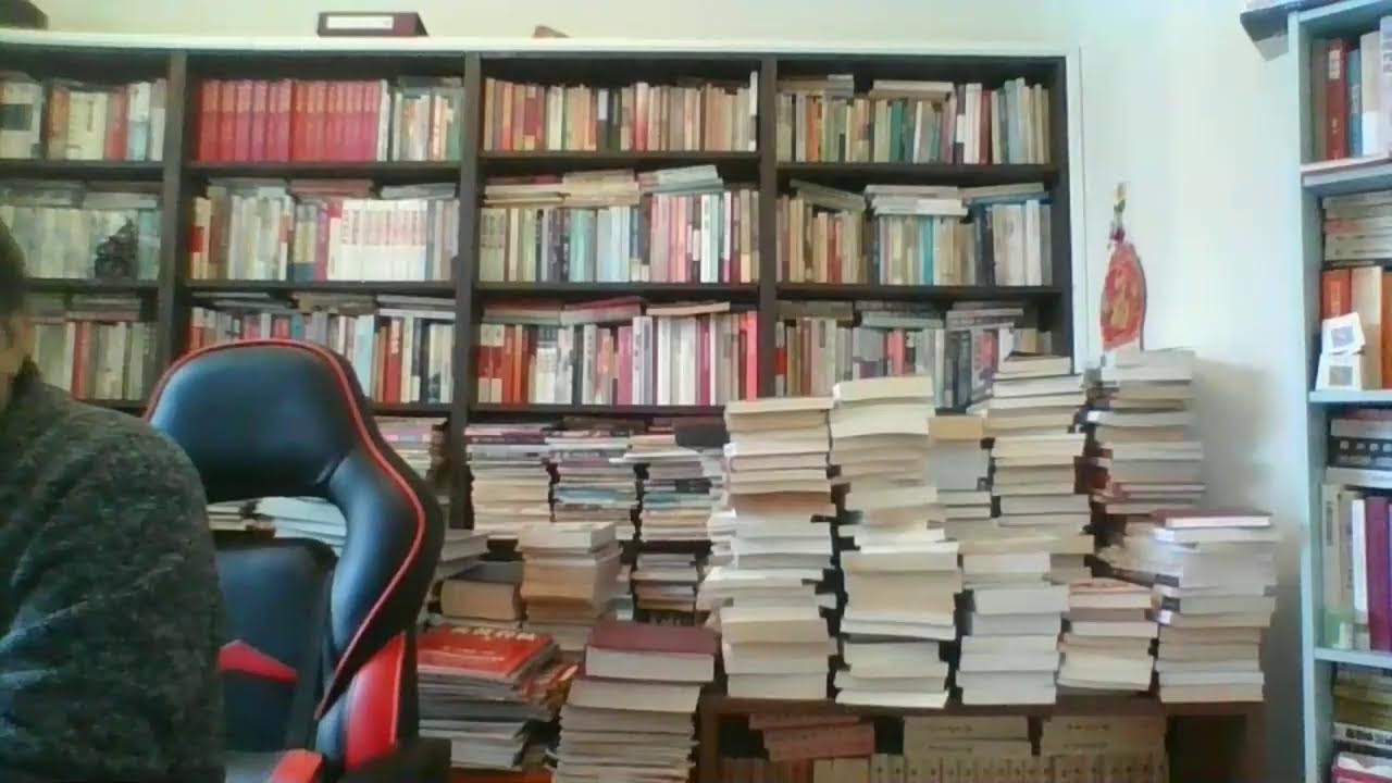 温相说历史（26078）—他什么时候退位？他最爱中国！“让列宁同志先走”！人民怎么看？