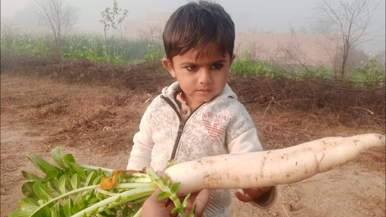 Aaj Ham Apne bagiche se Muli Todenge aur khaenge