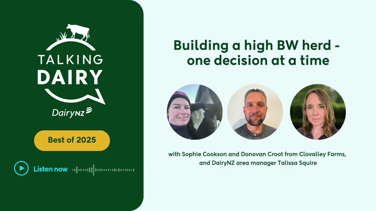 Talking Dairy best of 2025: Building a high BW herd - one decision at a time