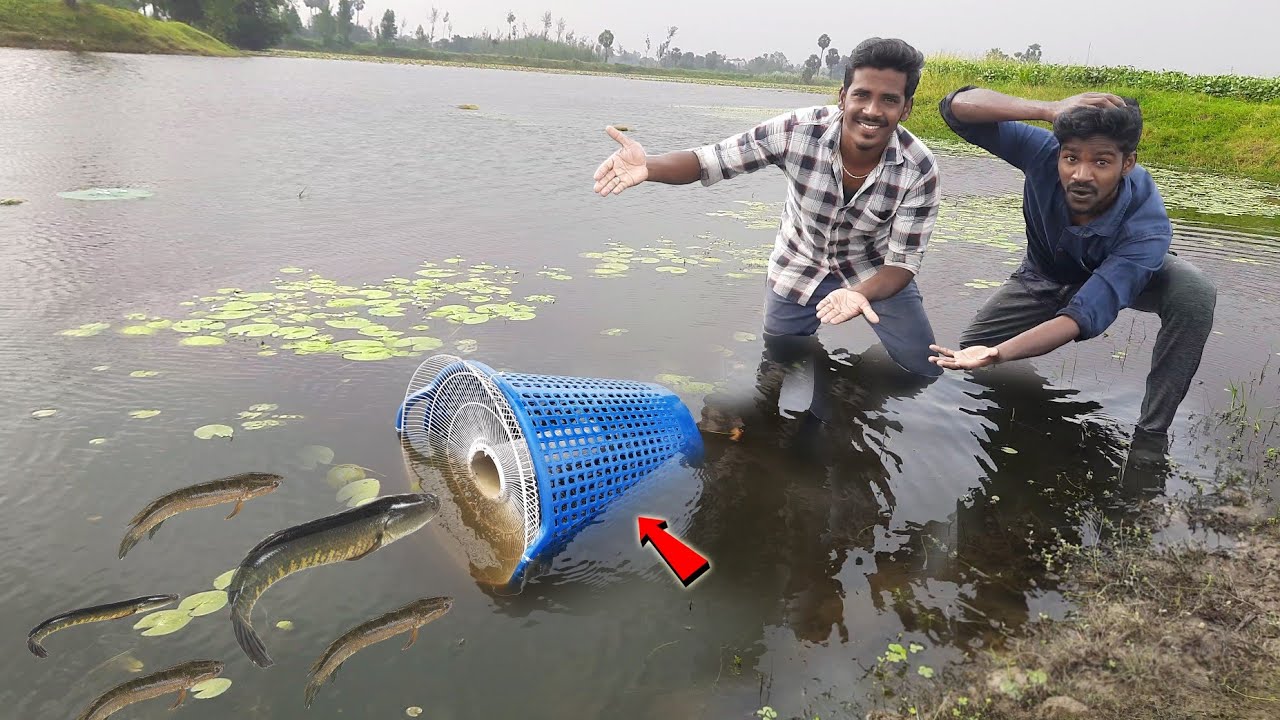 Unbelievable.! Fishing Trap 🎣 | Using with Fan Guard | இவ்ளோ நாள் இது தெரியாம போச்சே | Fishing