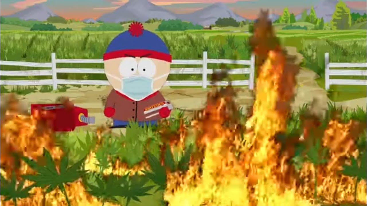 Stan burns Tegridy Farms | Shelly dies | Return of COVID