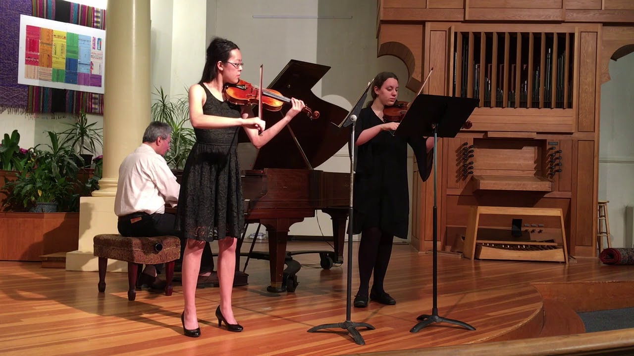 Sonata in G minor Op. 2 No. 8 for Violin and Viola - i,ii  (Händel)
