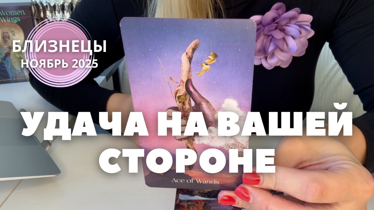 Близнецы НОЯБРЬ 2025 : УДАЧА НА ВАШЕЙ СТОРОНЕ! | Таро прогноз