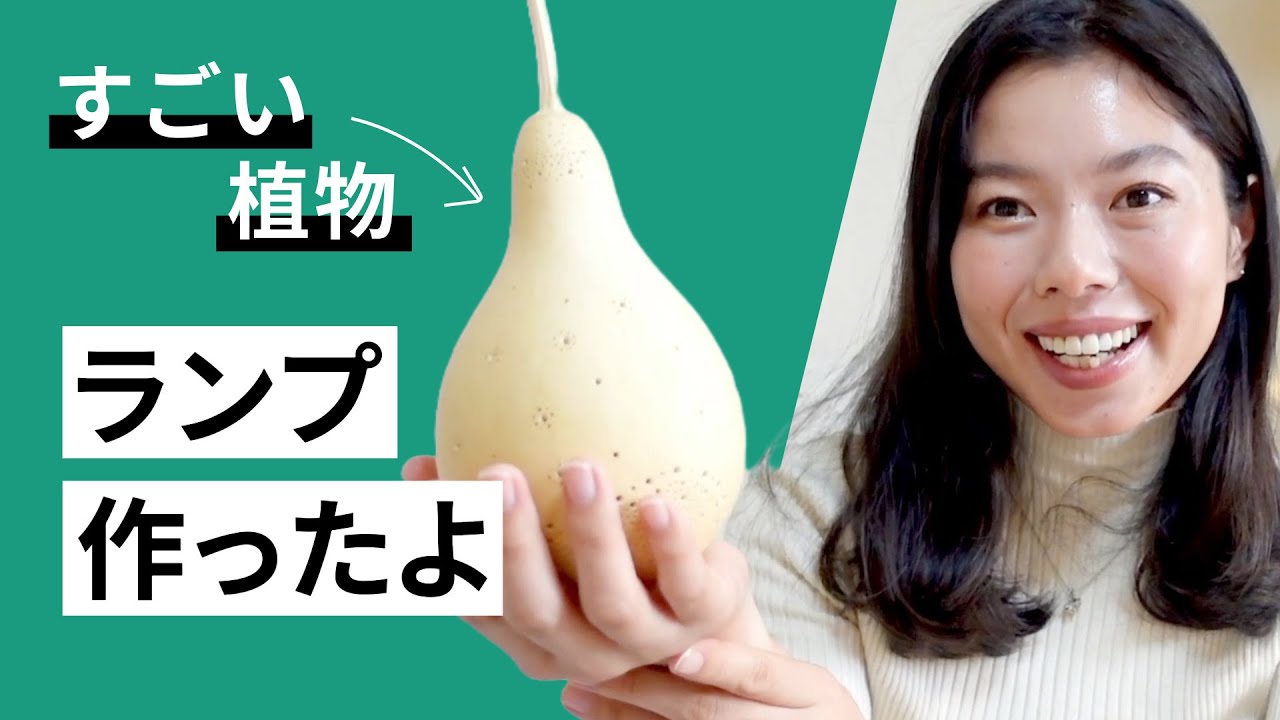 509 すごく便利な植物「ひょうたん」でランプを作ってみました！