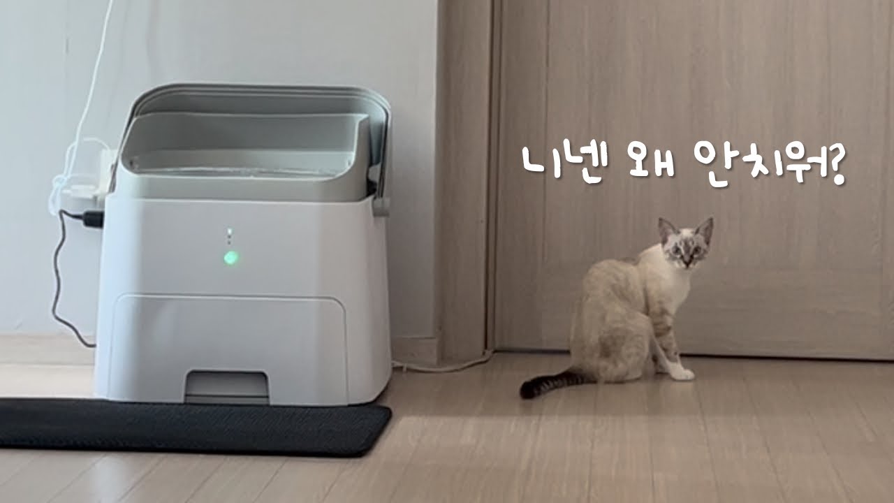 자동화장실을 못쓰게 된 이유