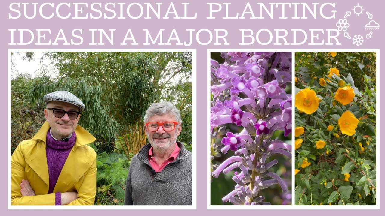 Three key ideas to help create & maintain a major feature border in the garden.