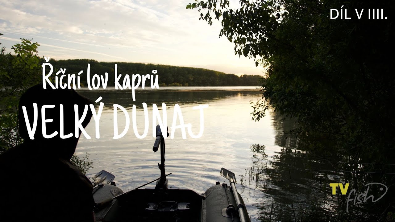 Ř&iacute;čn&iacute; lov kaprů Velk&yacute; Dunaj (River carp fishing Big Denaube)