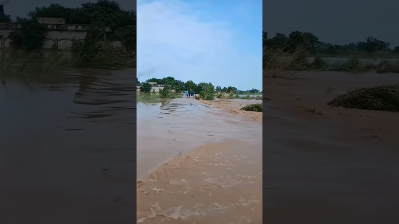 Unbelievable Flood Scenes 😱🌊 Cought On Camera #floods #viralshorts #floods #disaster