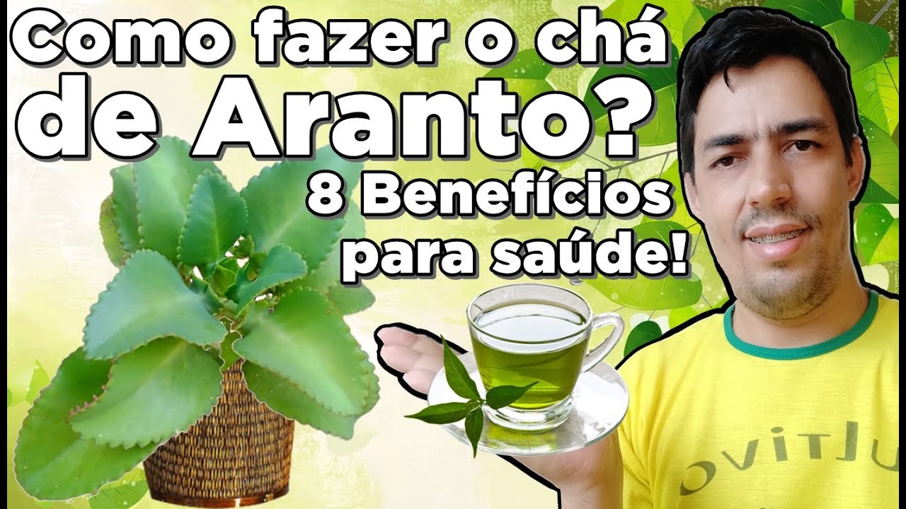 Como fazer o ch&aacute; de Aranto? 8 benef&iacute;cios para sa&uacute;de!