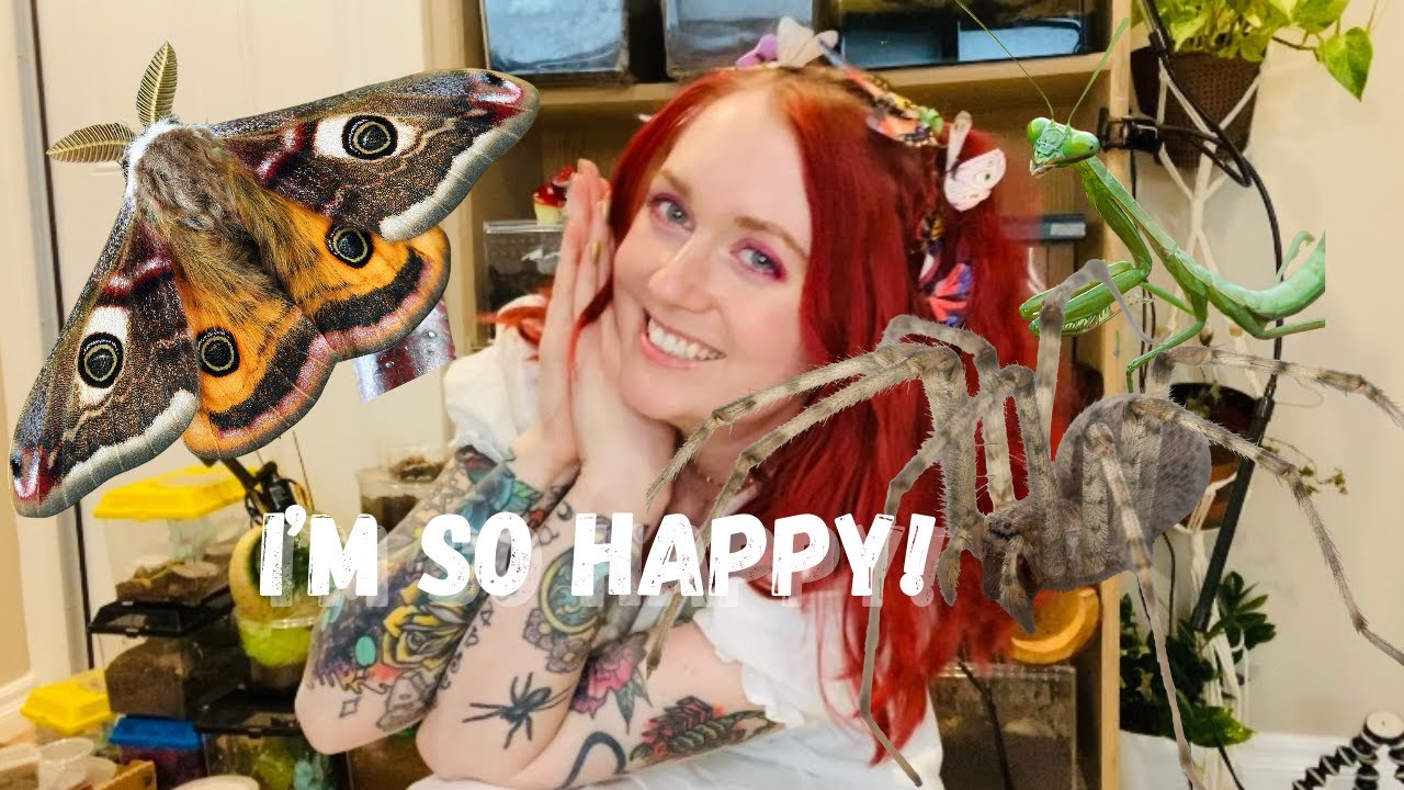 Bug Fair 2022 Haul! Moths , mantis, and weevils oh my!