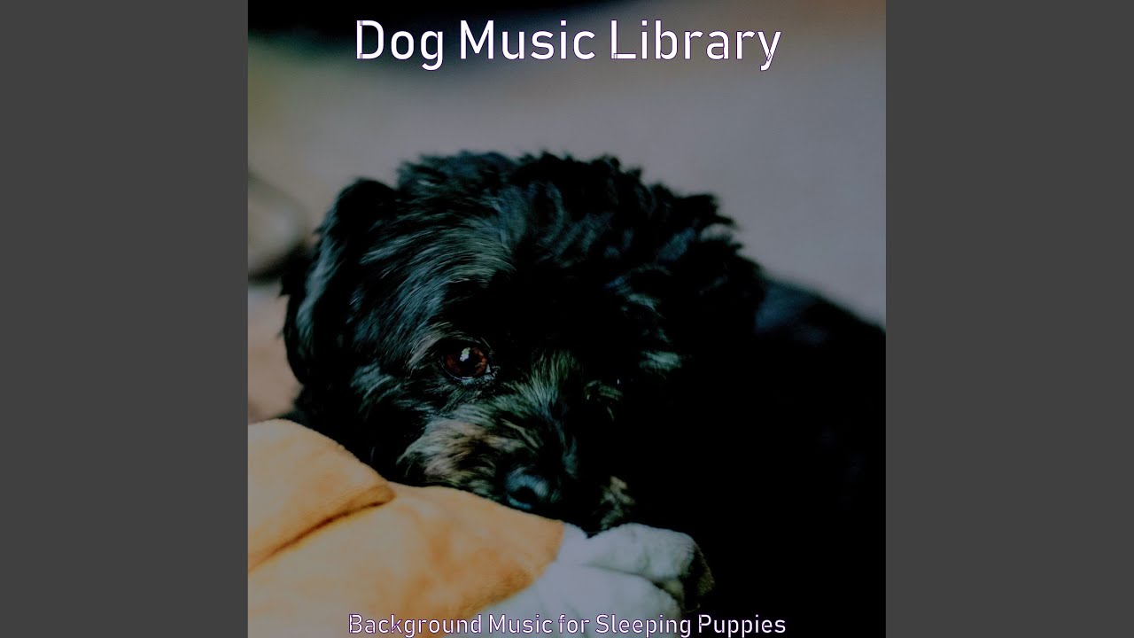 Mellow Ambience for Dogs
