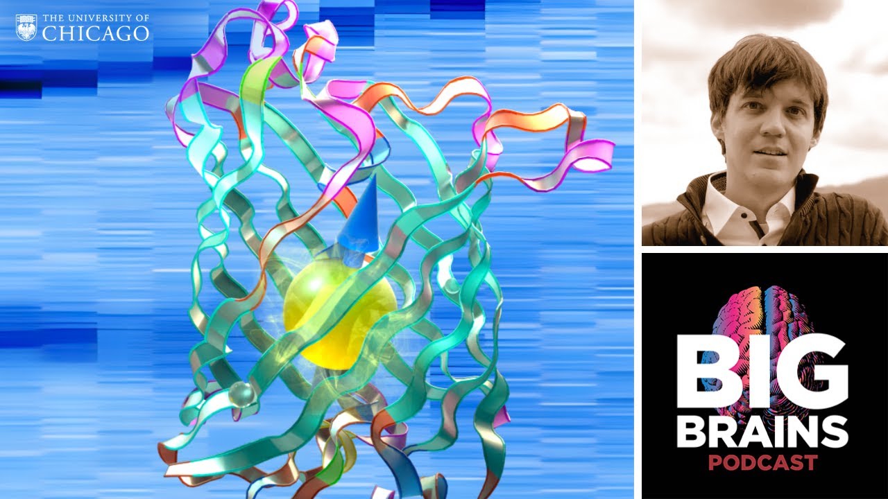 The Discovery That Turns Your Cells into Quantum Sensors, with Peter Maurer