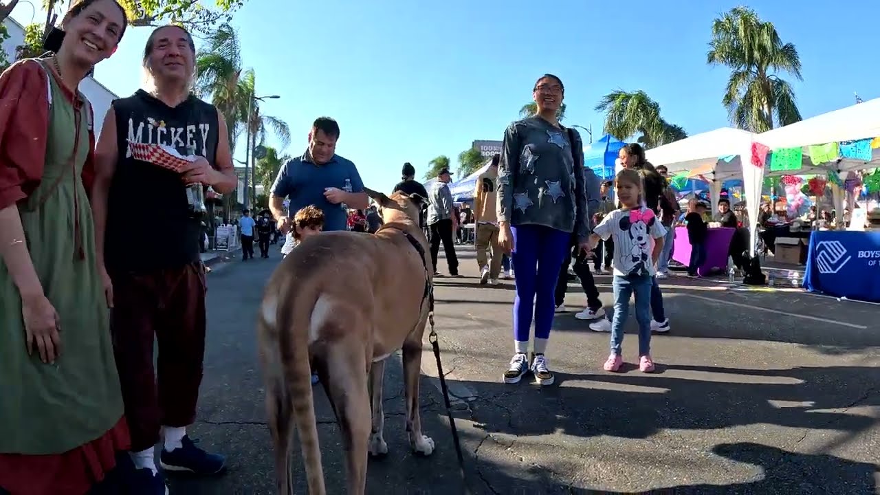 Cash 2.0 Great Dane at the Dia De Los Muertos 2024 family festival in Canoga Park, CA (1 of 4)