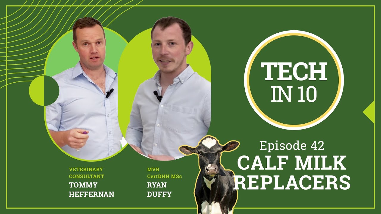 Tech in 10 - Episode 42: Calf Milk Replacers Explained: What to Look for on the Label