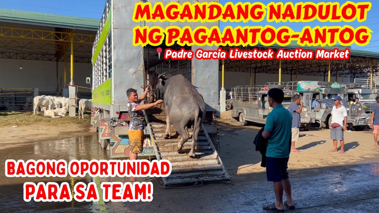 MAGANDANG NAIDULOT NG PAGAANTOG-ANTOG | BAGONG OPORTUNIDAD PARA SA TEAM | SOLLE'S GANDANG BUHAY